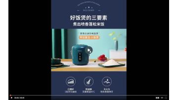 Mini Portable Electric Rice Cooker