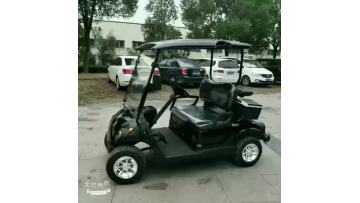2 seats black Yamaha style gasoline golf with ice bucket.mp4