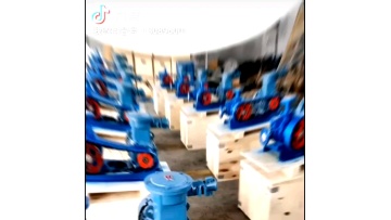 LGP pump   Liquefied Gas Refilling Pump   vane pump1