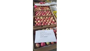 Fresh apple