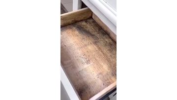Mould removing spray