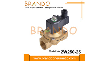 2W250-25 1'' Brass Solenoid Valve