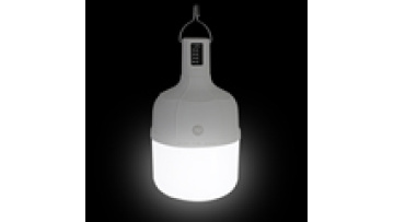 DP Lighting Energy Saving Long Lifetime Bulbs Rechargeable Waterproof Plastic Led Emergency Light Bulb1