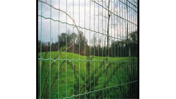 Cheap Euro Heavy Gauge PVC Coated Cages Holland Welded Wire Mesh Fence1