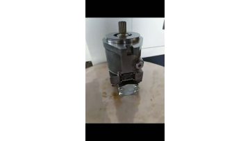 A4FO22/32R-NSC12N00 Fixed Displacement Pump