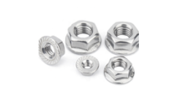 Factory Selling Stainless Steel Flange Nut Hex Flange Nut Flanged Nut1