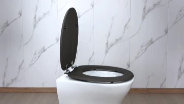 Fanmitrk Toilet Seat SDEB14808-12