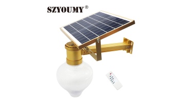 JD9909 LED solar light peach shape