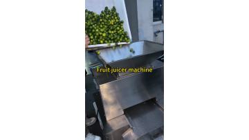 Fruit juicer machine