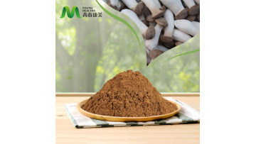 Pleurotus Eryngii Extract