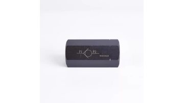S20A check valve