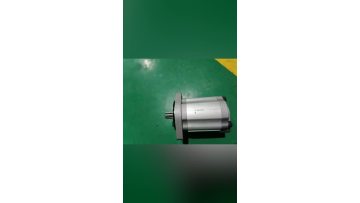 CAT 196-8424 CAT315-9741 gear pump