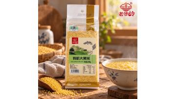 Organic Yellow Millets