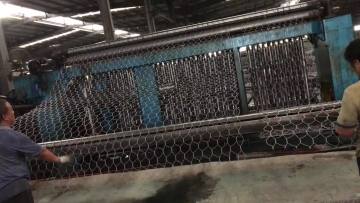 Hexagonal Chicken Wire Netting/poultry Hexagonal Wire Mesh 1/2 Galvanized Hexagonal at factory price1