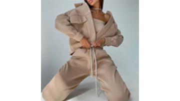 Wholesale High Quality Heavyweight Women Hoodies Custom Logo Sweatshirt Blank Sweatshirts1