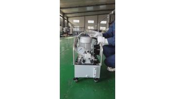 PED206M manual reversing electric pump
