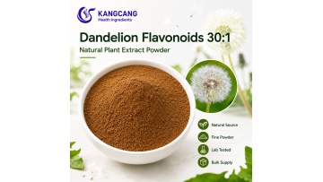 Nutraceutical 301 Flavonoids Dandelion Root Extract Powder