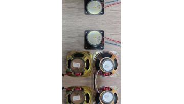 Speaker (external magnetic speaker)