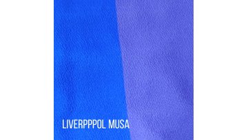 Liverpool Print Knitted Fabric Supplier  95%Poly 5%Sp Liverpool Jersey Fabric1