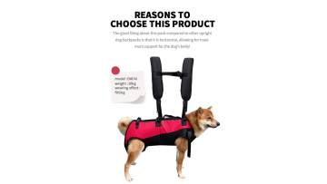 REASONS TOCHOOSE THIS PRODUCT