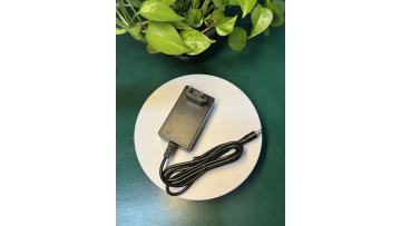 12V 5A  Mains Adapter
