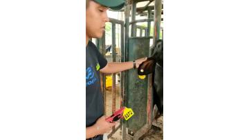 EAR tags