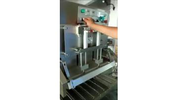 DZQ600L Vacuum Packing Machine