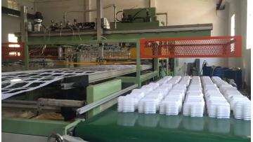 PS foam disposable plastic vacuum forming making machine for pizza box styrofoam box1