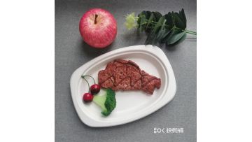 UYP012Oval bagasse plate