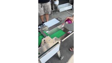 Onion cutting machine 