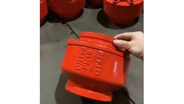 Fire Silent Check Valve
