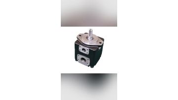 T6CB025-1R00-B1 VANE PUMP