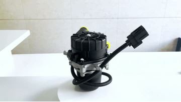 BJ-9306 Secondary Air Pump