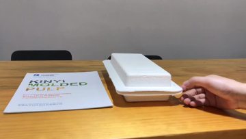 Sustainable custom sugarcane paper molded pulp box packaging1