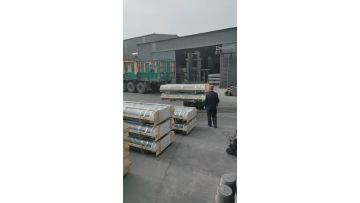 graphite electrode RP250mm