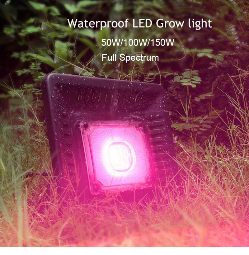 Led Cob Grow Light