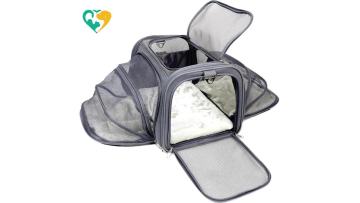 pet carrier medium