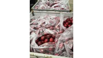 APPLE STOCKROOM
