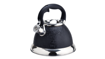 Black pattern coated stainless steel kettle FH-313