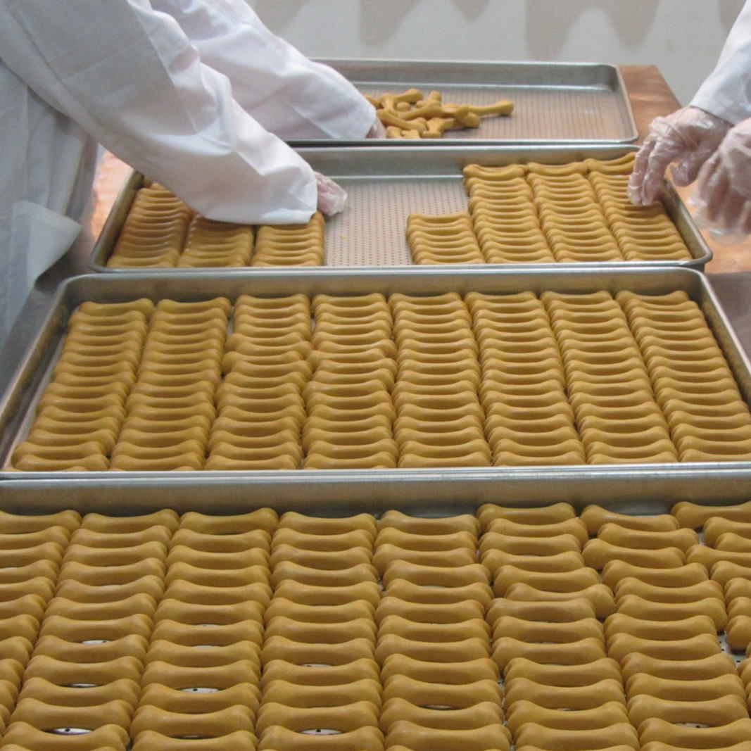 Jiangxi Welton Pet Products Co., Ltd.