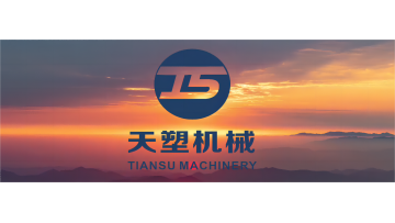 Company video English