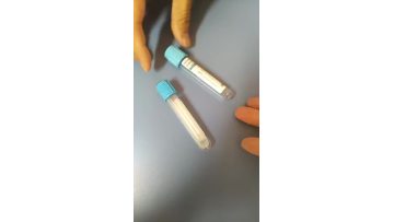 PT tube