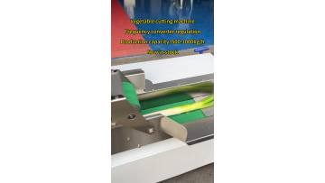Vegetable Chopping Machine