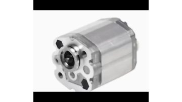 One Group Gear Pump