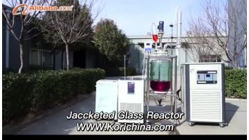 Jacketed Glass Reactor