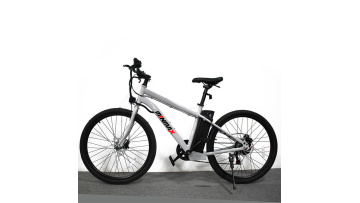 Electric Assisted Bicycle 350W Electric Bike
