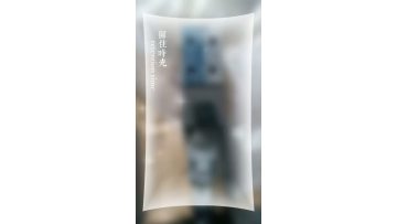 DOFLUID Proportional Valve PPG-02-180-04 H