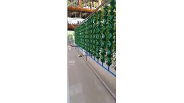 Green vertical hydroponics