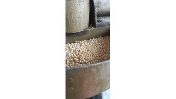 140 soybean oil extraction