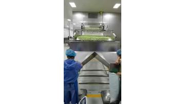 IQF beans output